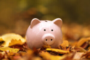 Fall into Savings How to Maximize Your 401(k) Before Year-End